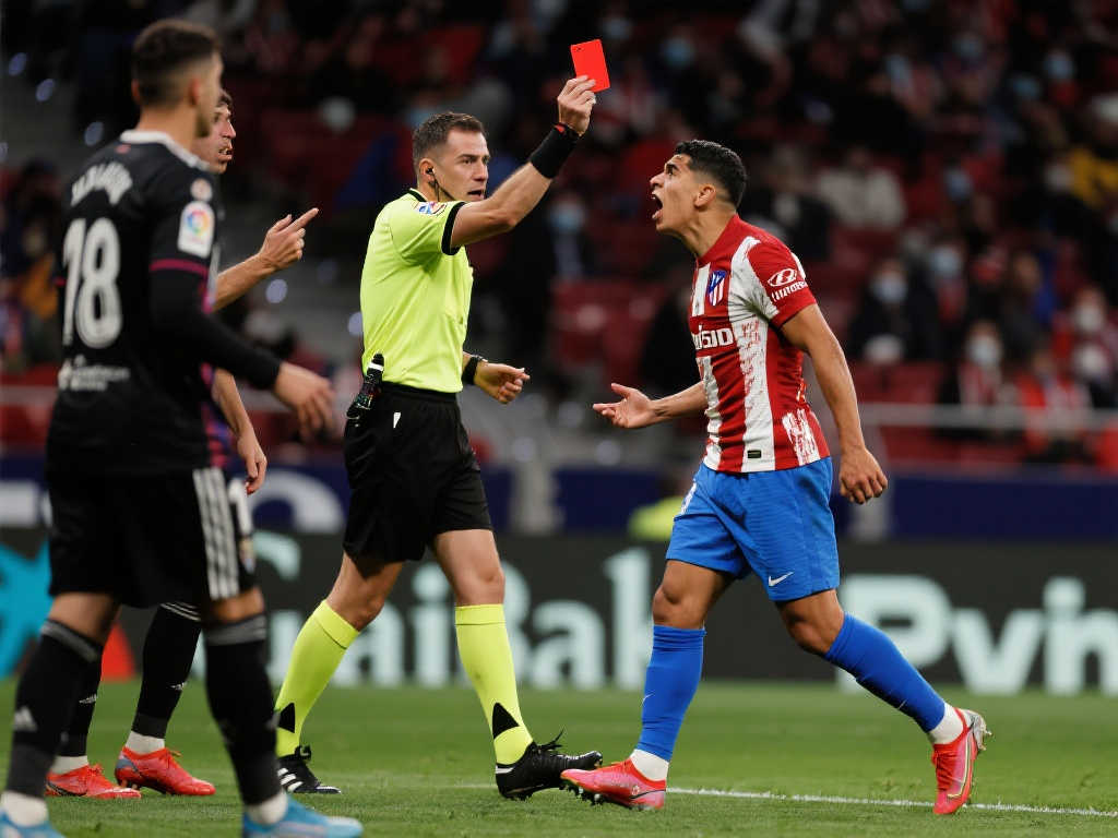 他们急需在 他们急需在